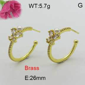 Fashion Brass Earrings  F3E402292bbov-L017