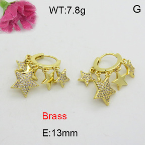 Fashion Brass Earrings  F3E402293ahjb-L017