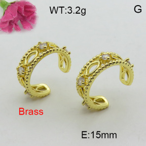 Fashion Brass Earrings  F3E402297vbmb-L017