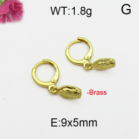 Fashion Brass Earrings  F5E200011bbov-J125