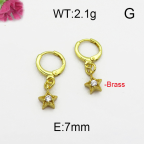 Fashion Brass Earrings  F5E400001bbov-J125