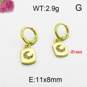 Fashion Brass Earrings  F5E400009bhia-J125
