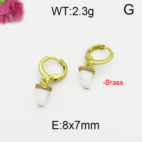 Fashion Brass Earrings  F5E400018ahjb-J125