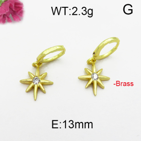 Fashion Brass Earrings  F5E400021bhva-J125