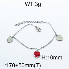 SS Bracelet  6B4002335bbov-493