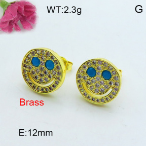 Fashion Brass Earrings  F3E402273ahjb-J40