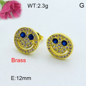 Fashion Brass Earrings  F3E402274ahjb-J40