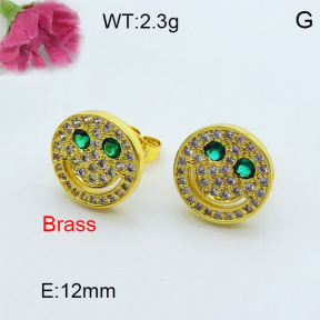 Fashion Brass Earrings  F3E402275ahjb-J40