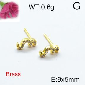 Fashion Brass Earrings  F6E403113bbov-J125