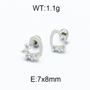 SS Earrings  5E4000163bhva-256