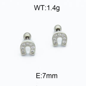SS Earrings  5E4000168bhva-256
