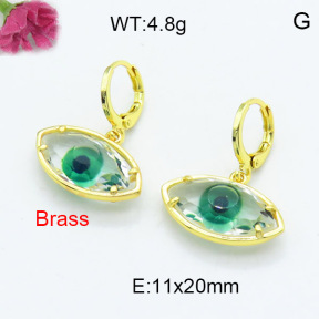 Fashion Brass Earrings  F3E402309bbov-G030