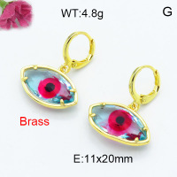 Fashion Brass Earrings  F3E402311bbov-G030