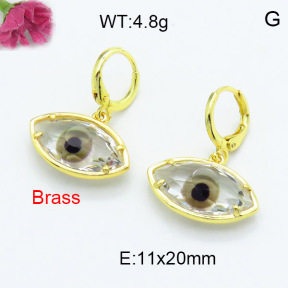 Fashion Brass Earrings  F3E402314bbov-G030