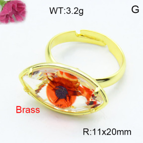 Fashion Brass Ring  F3R400533ablb-G030