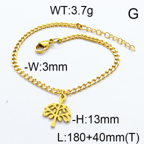 SS Bracelet  6B2002919vbnb-706