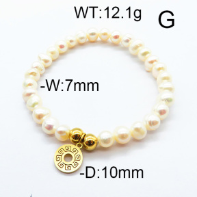 SS Bracelet  6B3001675bvpl-706