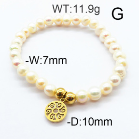 SS Bracelet  6B3001676bvpl-706