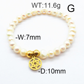 SS Bracelet  6B3001684bvpl-706