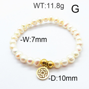 SS Bracelet  6B3001688bvpl-706