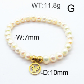 SS Bracelet  6B3001689bvpl-706