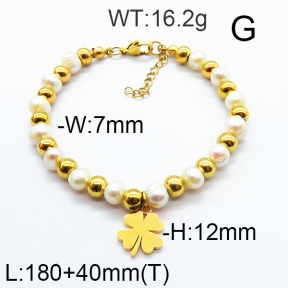 SS Bracelet  6B3001690vhha-706