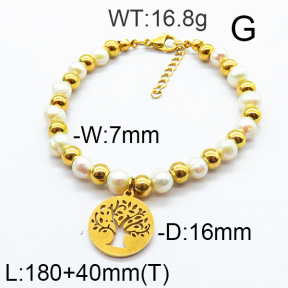 SS Bracelet  6B3001691vhha-706