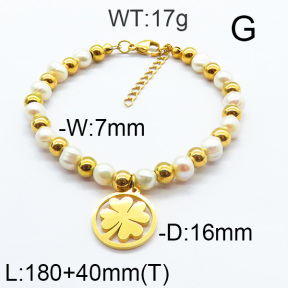 SS Bracelet  6B3001696vhha-706