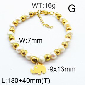 SS Bracelet  6B3001698vhha-706