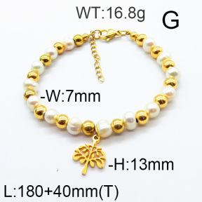 SS Bracelet  6B3001699vhha-706