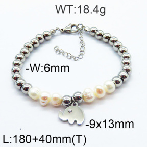 SS Bracelet  6B3001714vbpb-706