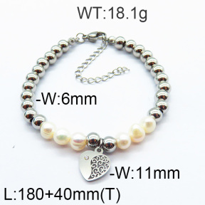 SS Bracelet  6B3001717vbpb-706