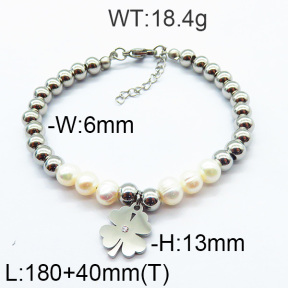 SS Bracelet  6B3001719vbpb-706