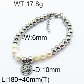 SS Bracelet  6B3001727abol-706