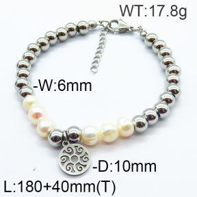 SS Bracelet  6B3001730abol-706