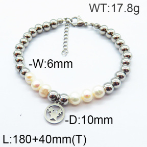 SS Bracelet  6B3001731abol-706