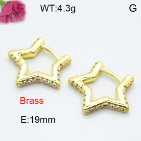 Fashion Brass Earrings  F3E402328ablb-L024