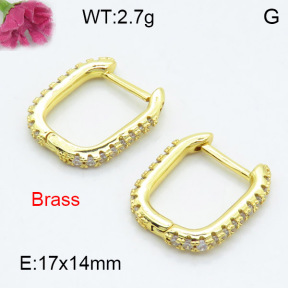 Fashion Brass Earrings  F3E402332ablb-L024