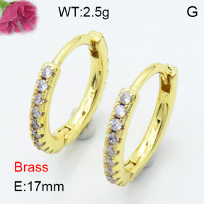 Fashion Brass Earrings  F3E402336ablb-L024
