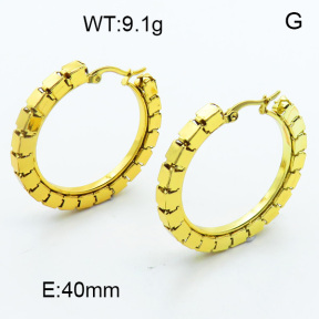 SS Hoop Earring 3E2004002vbmb-423