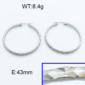 SS Hoop Earring 3E2004022vaii-423