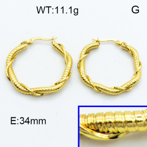 SS Hoop Earring 3E2004127vbmb-423