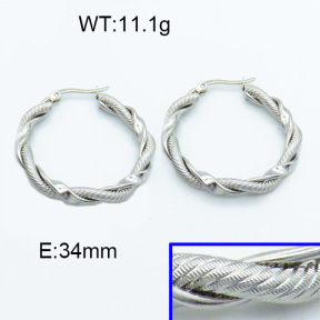 SS Hoop Earring 3E2004136vbll-423