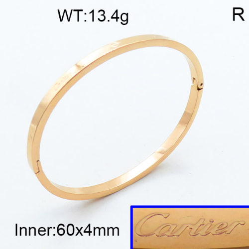 Cartier SS Bangles PZ0136381vhov-721