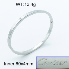 Cartier SS Bangles PZ0136382ahlv-721