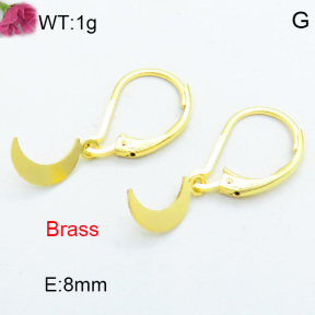 Brass Dangle Earring F3E200230avja-J125