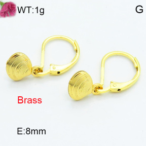 Brass Dangle Earring F3E200275avja-J125