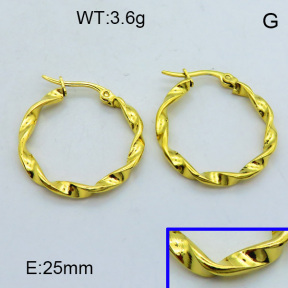 SS Hoop Earring 3E2004304aaho-703