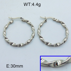 SS Hoop Earring 3E2004307aaho-703