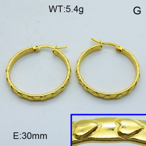 SS Hoop Earring 3E2004315aahj-703